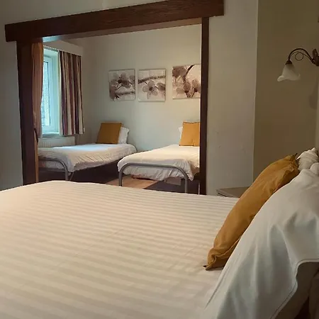 New De Lives Hotell 3*