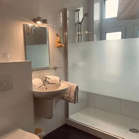 Hotel New De Lives 3*